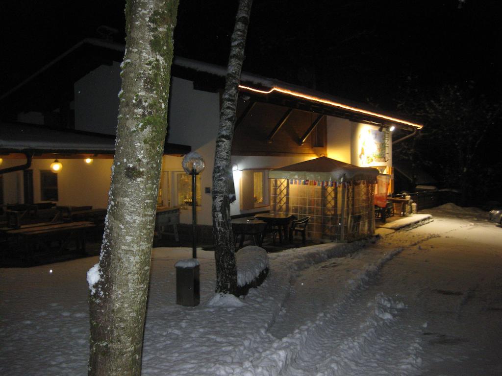 Albergo Pineta Castello-Molina di Fiemme Exteriör bild