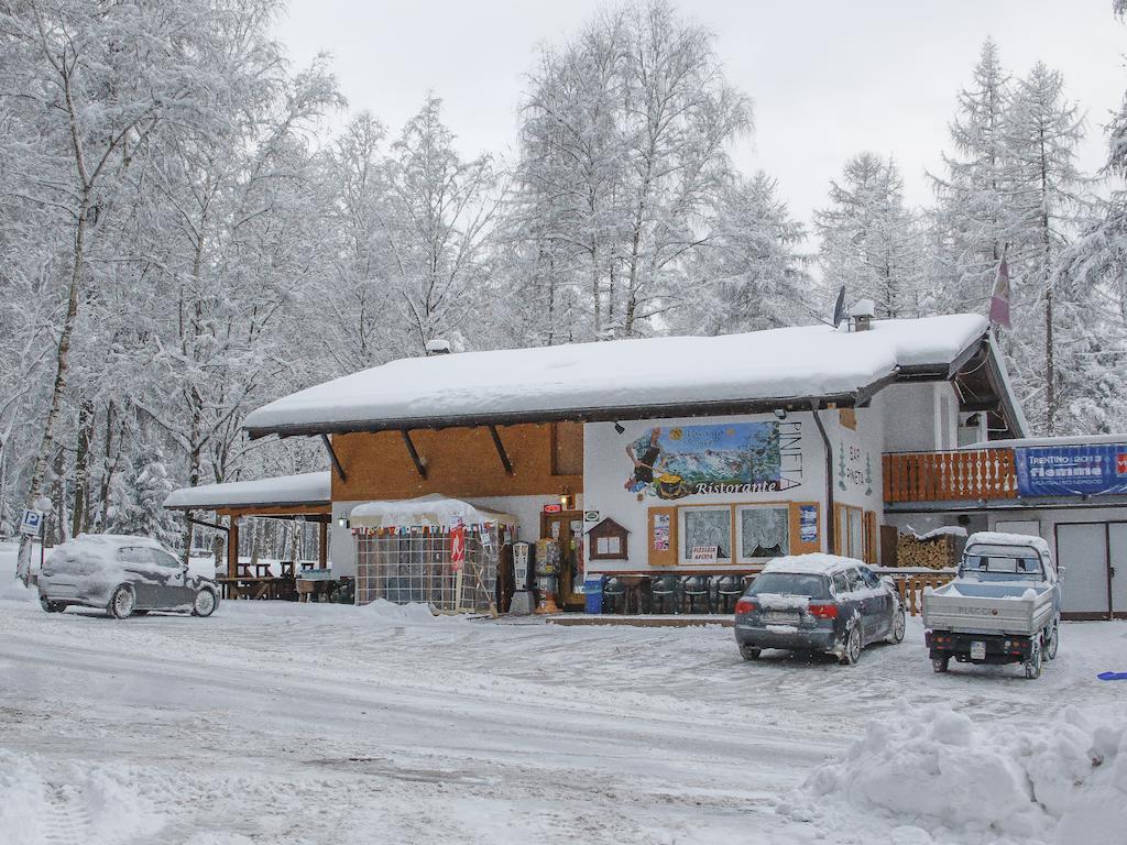 Albergo Pineta Castello-Molina di Fiemme Exteriör bild